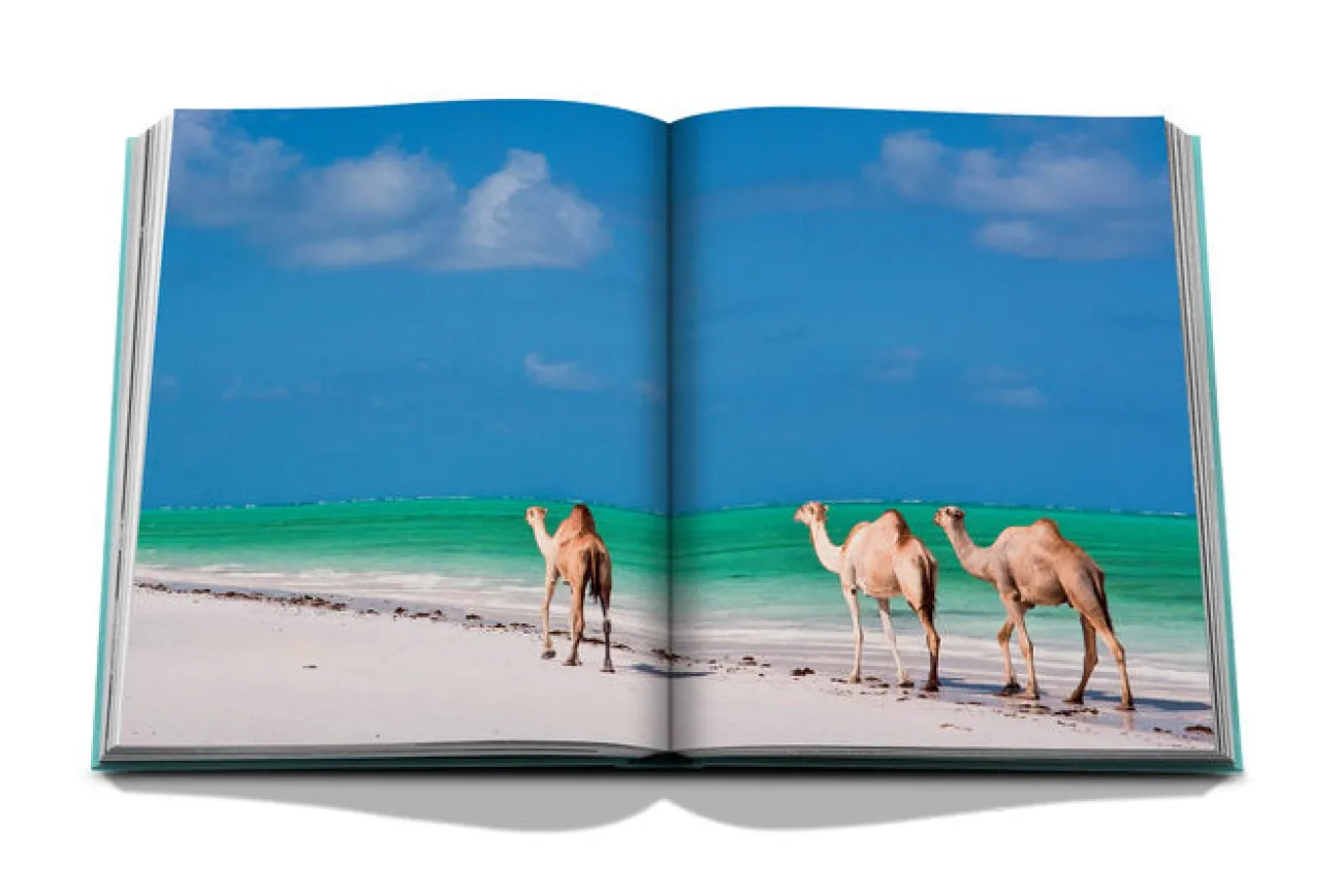 ASSOULINE Livres Décoratifs^Livre - - Red Sea: The Saudi Coast