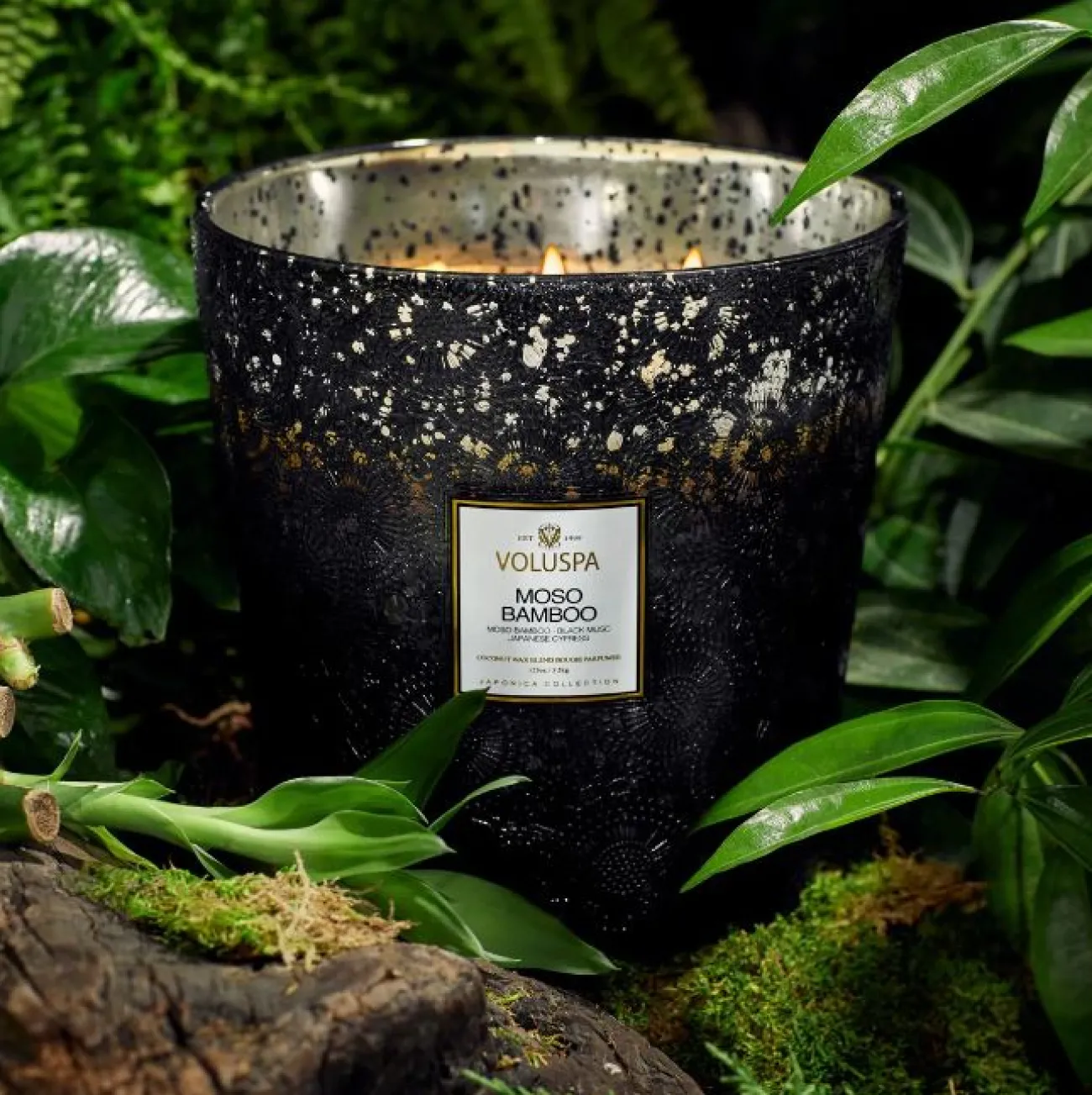AROMA HOME/VOLUSPA Bougies Parfumées Et Diffuseurs^Voluspa Maxi bougie parfumée 5 mèches - Moso Bamboo